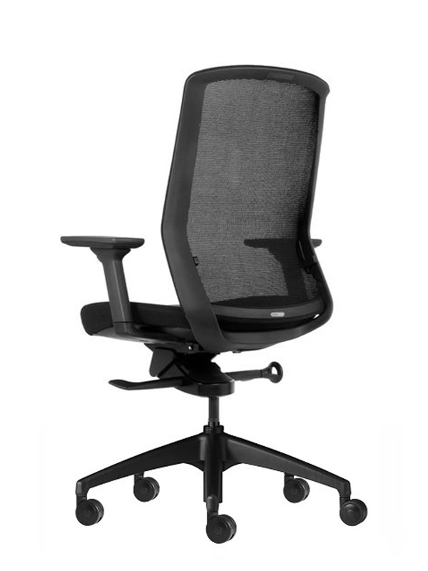 Aveya Mesh Back Office Chair