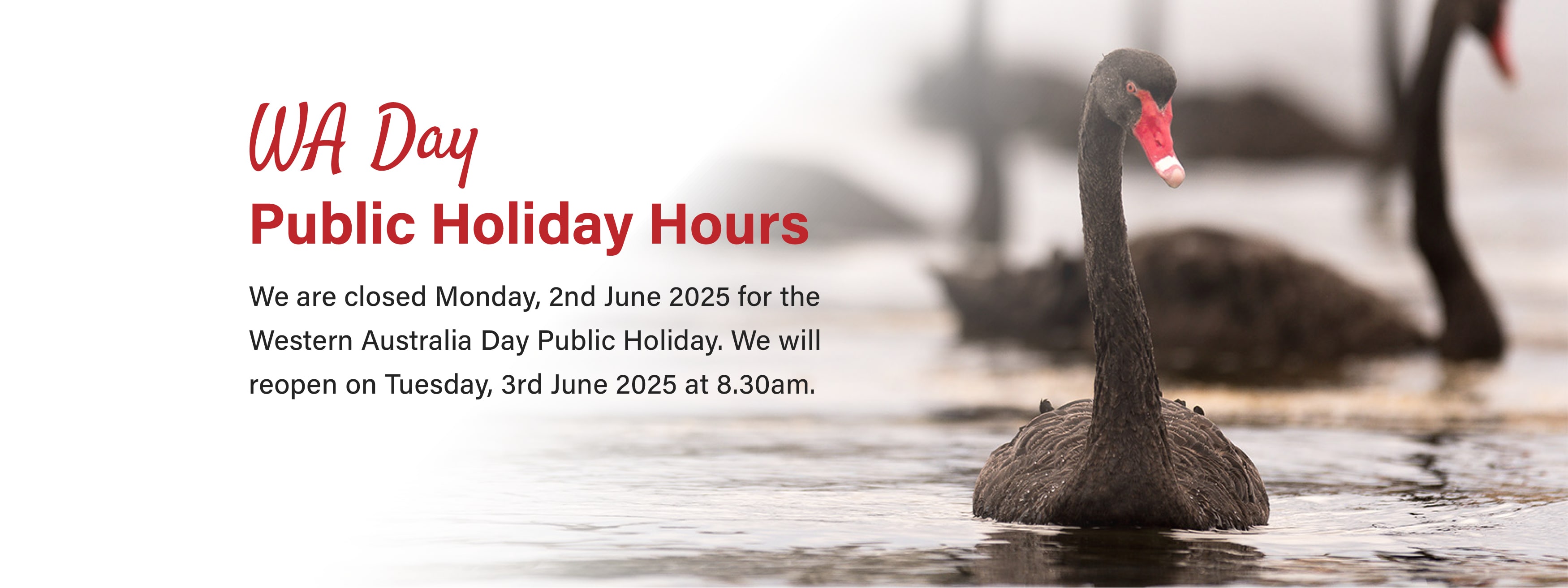 We are Closed for WA Day 2nd June