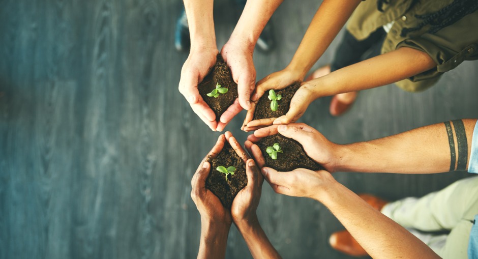  Group of office workers holding indoor plants to help reduce stress and purify workplace air.