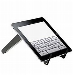 Cicada Laptop Raise