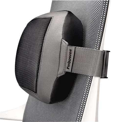 I-Spire Back Support