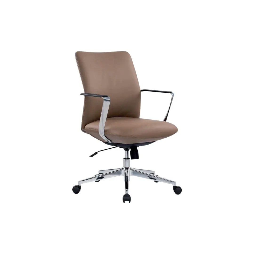Director Executive Medium Back Chair