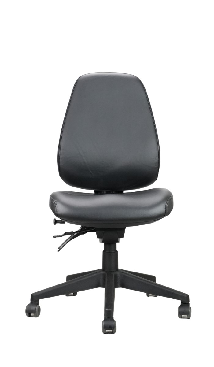Endeavour Pro Healthcare High Back Chair