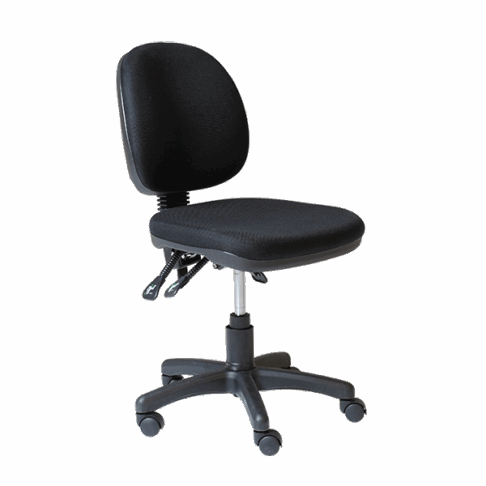 Study Medium Back Ergonomic Chair