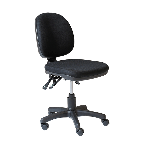 Study Medium Back Ergonomic Chair