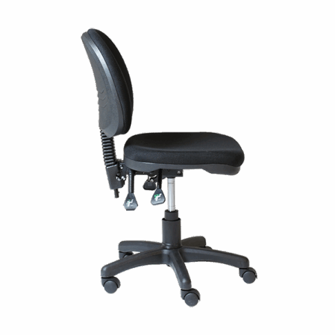Study Medium Back Ergonomic Chair
