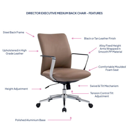 Director Executive Medium Back Chair