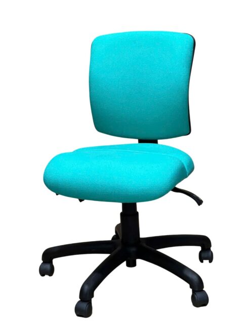 FormFit Medium Back Ergonomic Office Chair