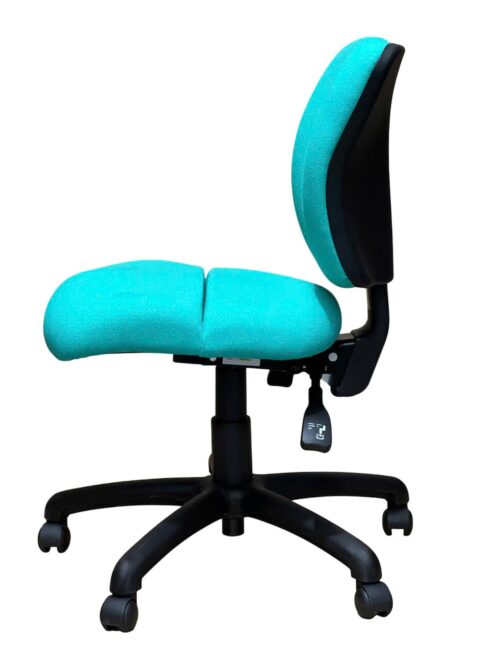 FormFit Medium Back Ergonomic Office Chair