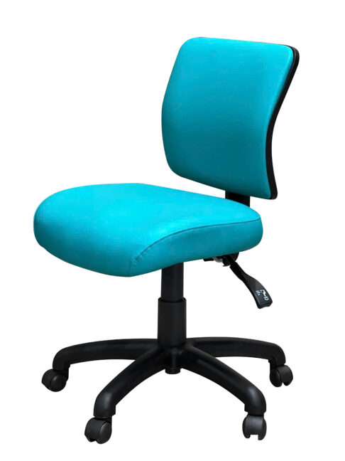 FormFit Medical Medium Back Ergonomic Chair
