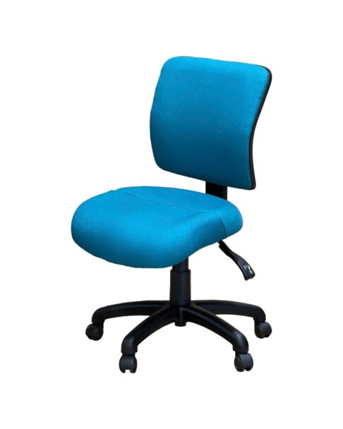 FormFit Medium Back Ergonomic Office Chair