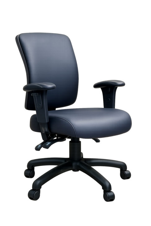 FormFit HealthCare High Back Ergonomic Chair