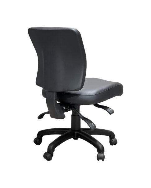 FormFit Medical Medium Back Ergonomic Chair