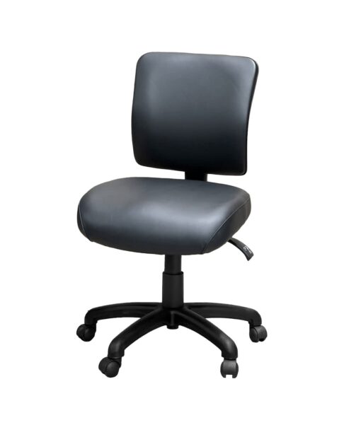FormFit Medical Medium Back Ergonomic Chair