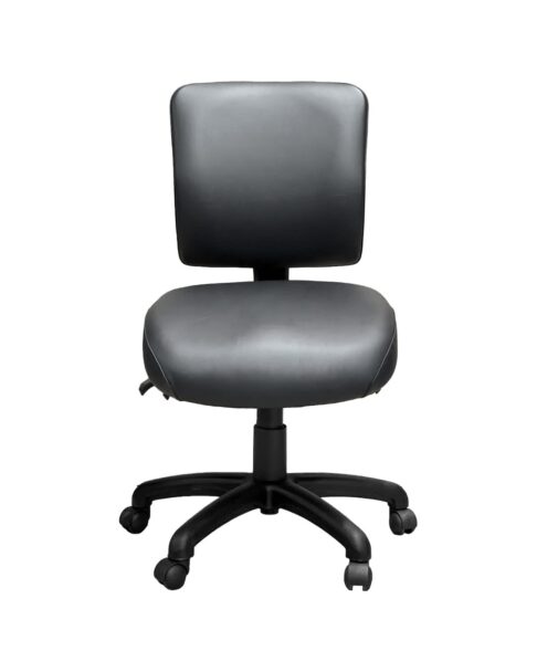 FormFit Medical Medium Back Ergonomic Chair