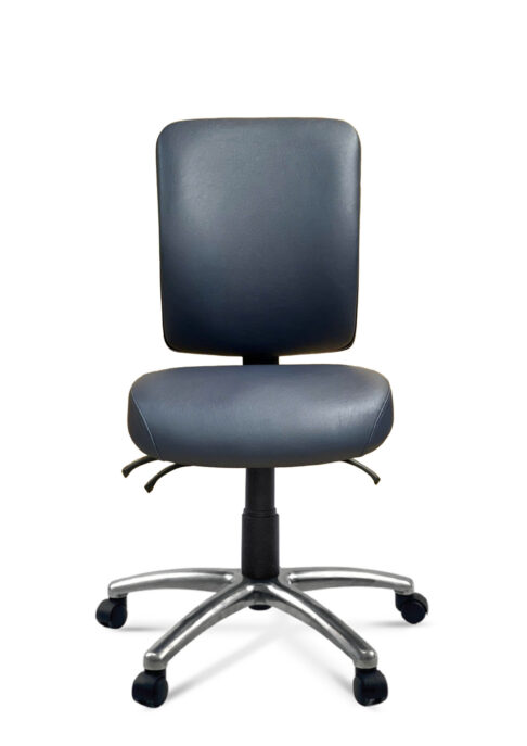 FormFit HealthCare High Back Ergonomic Chair