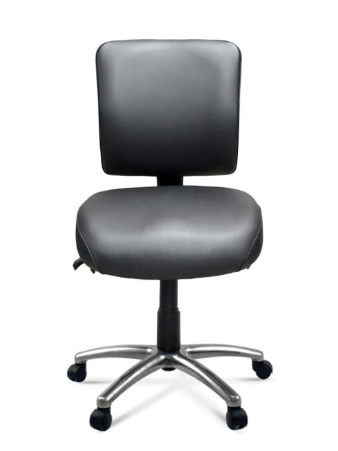 FormFit HealthCare Medium Back Ergonomic Chair