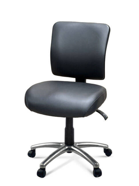 FormFit HealthCare Medium Back Ergonomic Chair