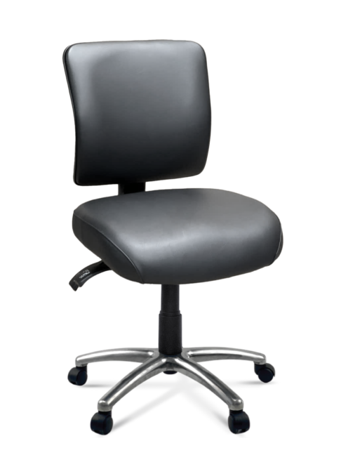 FormFit HealthCare Medium Back Ergonomic Chair