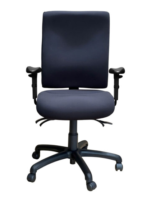 Serene High Back Ergonomic Office Chair