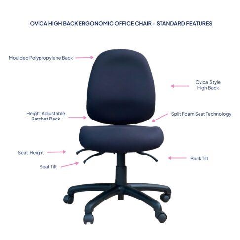 Ovica High Back Ergonomic Office Chair