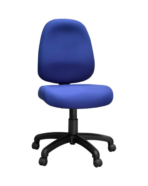 Ovica High Back Ergonomic Office Chair