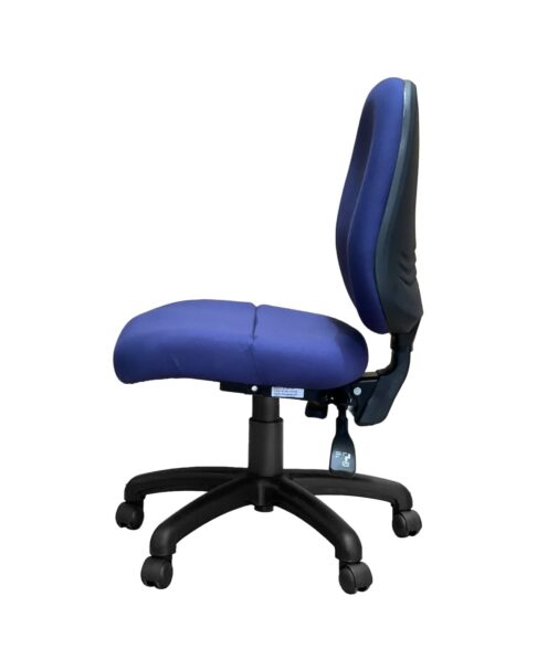 Ovica High Back Ergonomic Office Chair