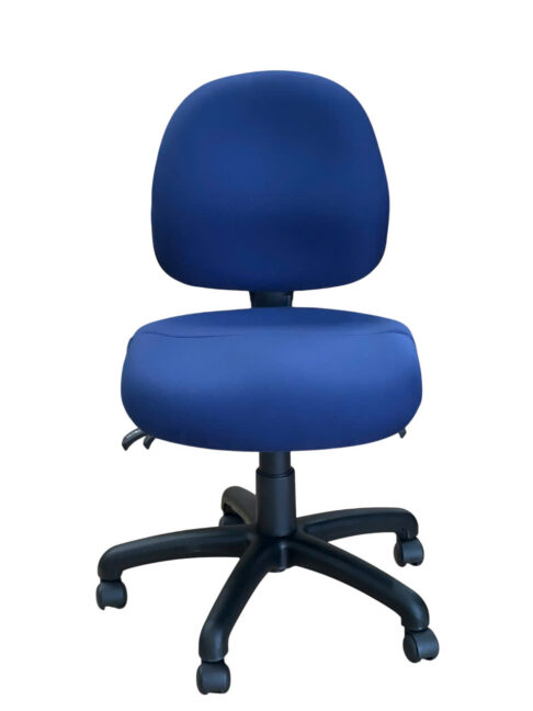 Ovica Medium Back Ergonomic Office Chair