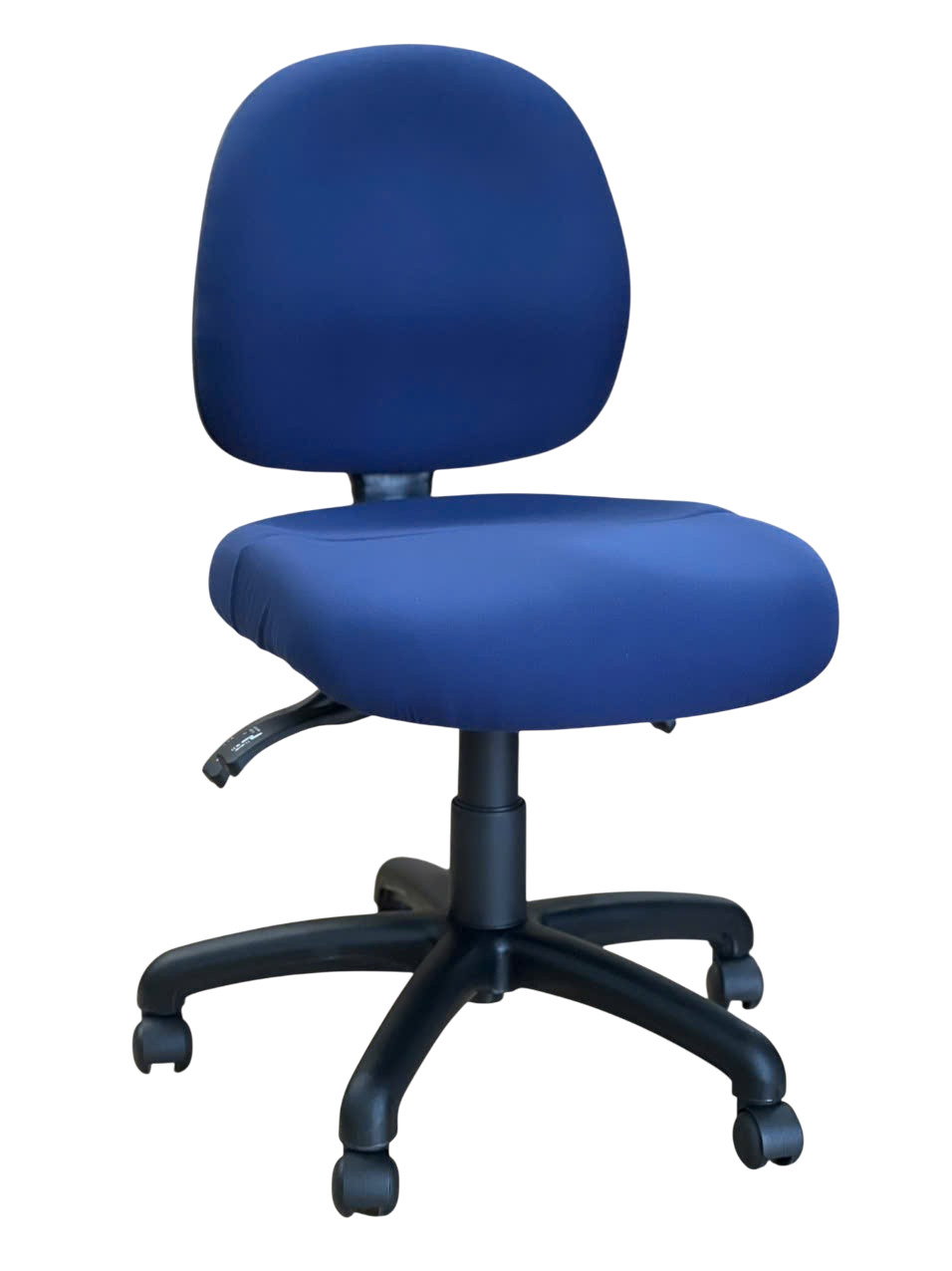 Ovica Medium Back Ergonomic Office Chair
