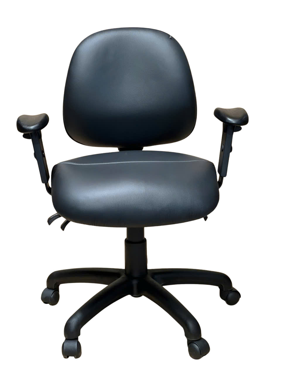Ovica Medium Back Ergonomic Office Chair