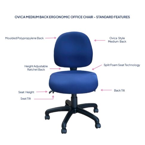 Ovica Medium Back Ergonomic Office Chair