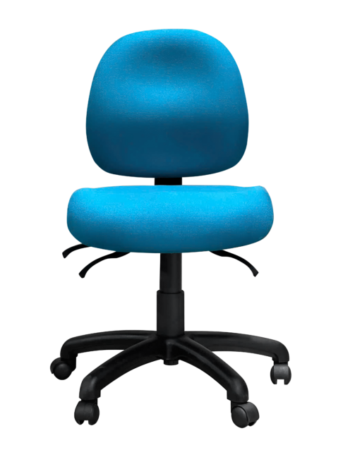 Ovica Medium Back Ergonomic Office Chair