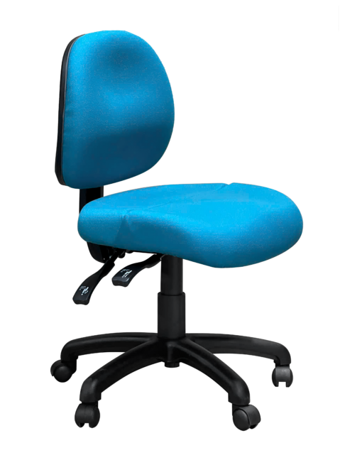 Ovica Medium Back Ergonomic Office Chair