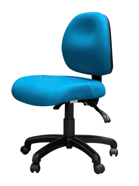 Ovica Medium Back Ergonomic Office Chair