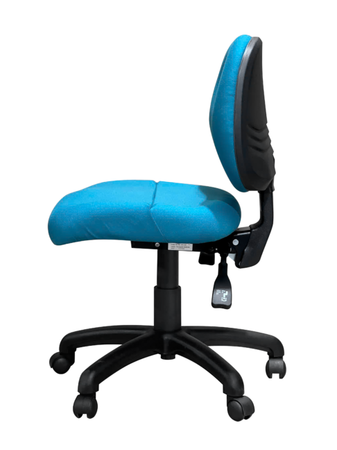 Ovica Medium Back Ergonomic Office Chair