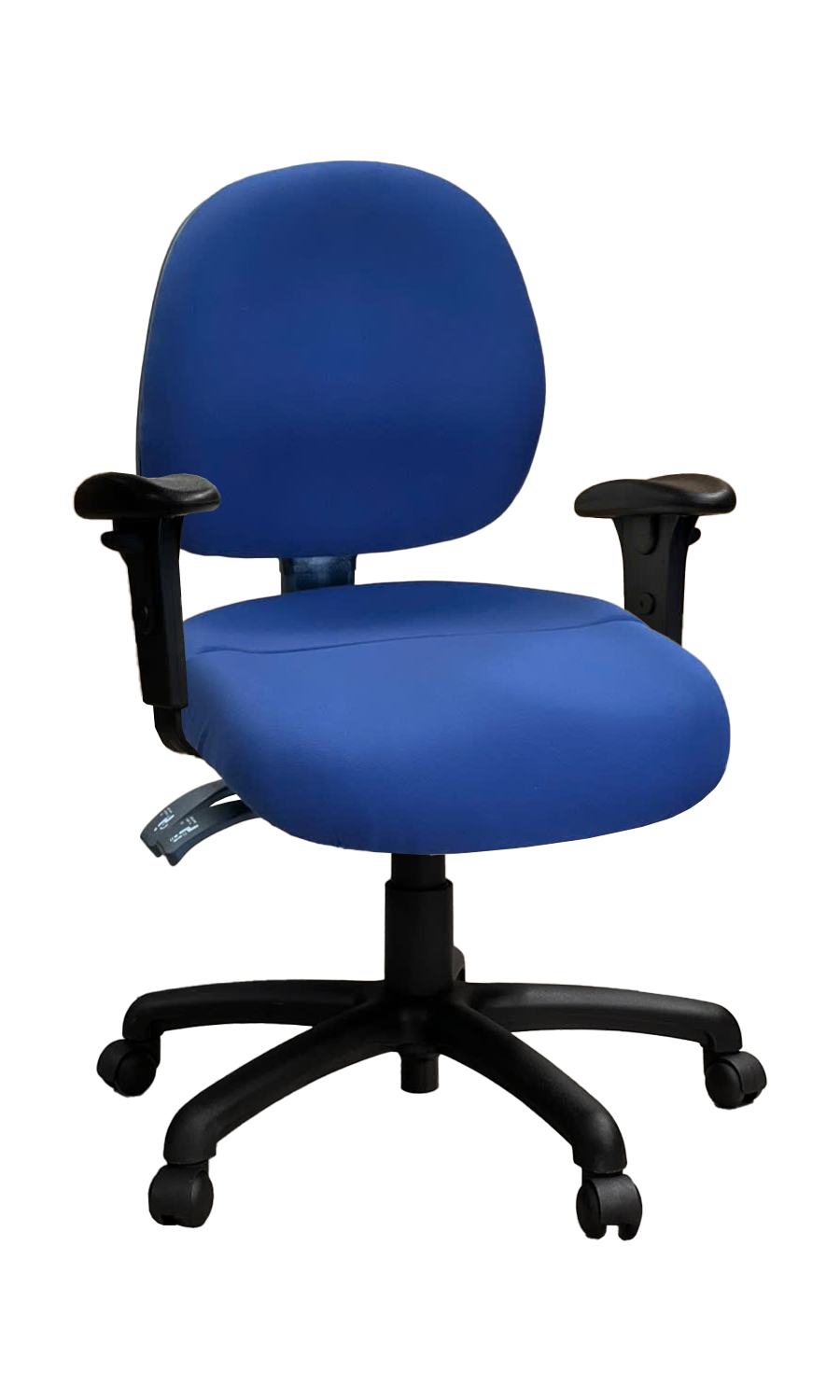 Ovica Medium Back Ergonomic Office Chair