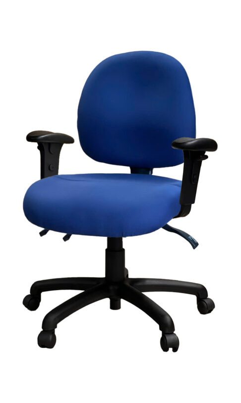 Ovica Medium Back Ergonomic Office Chair