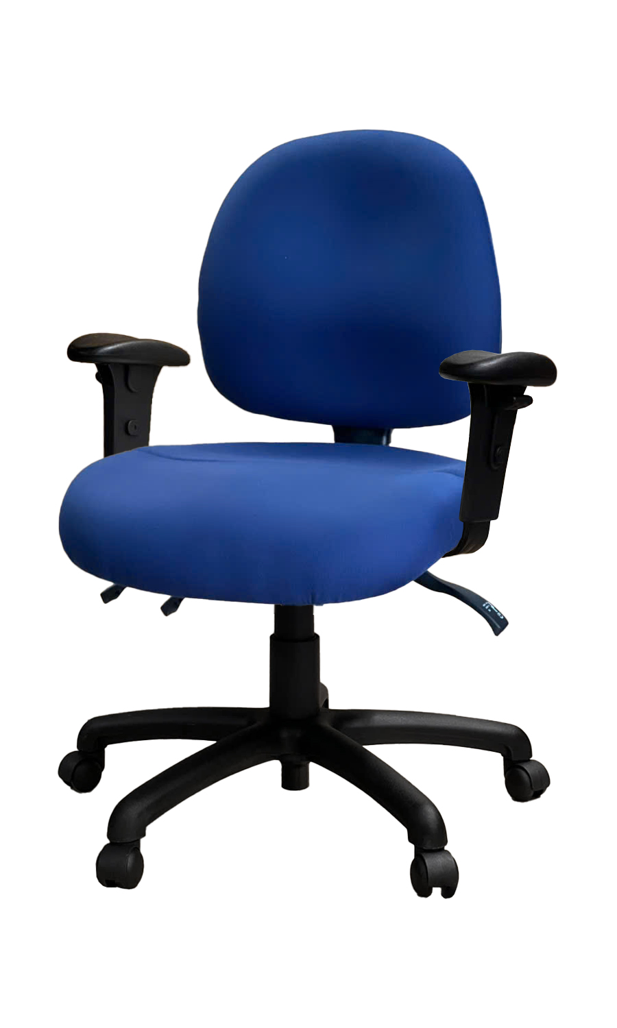 Ovica Medium Back Ergonomic Office Chair
