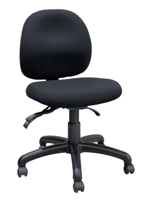 Petite Ovica Ergonomic Office Chair