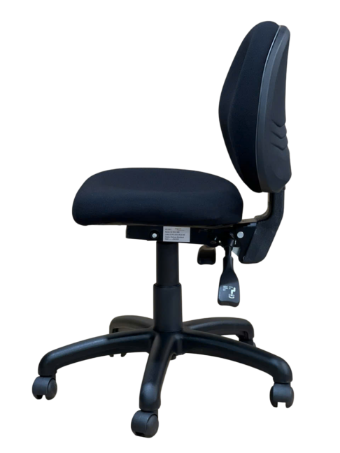 Petite Ovica Ergonomic Office Chair