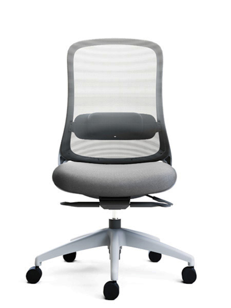 Savi Mesh Back Chair