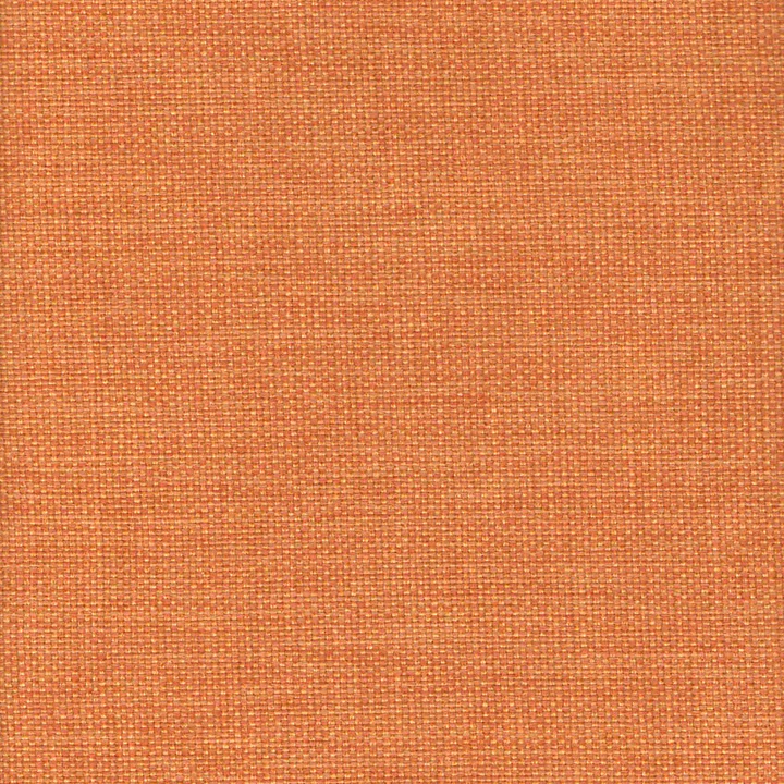 Color swatch image