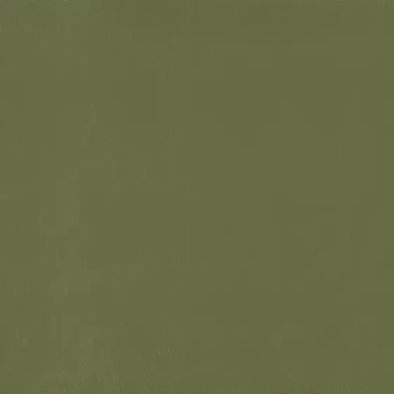 Color swatch image