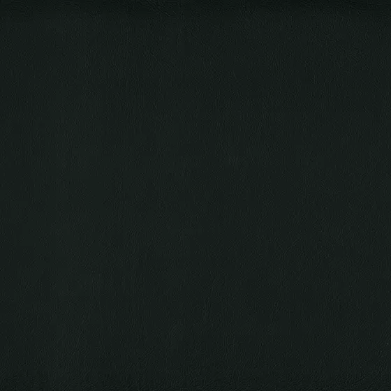 Color swatch image
