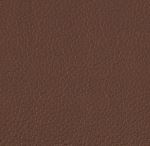 Color swatch image