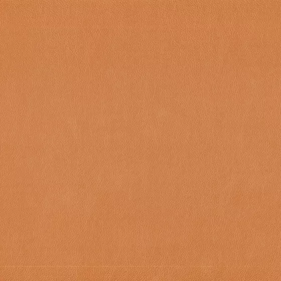 Color swatch image