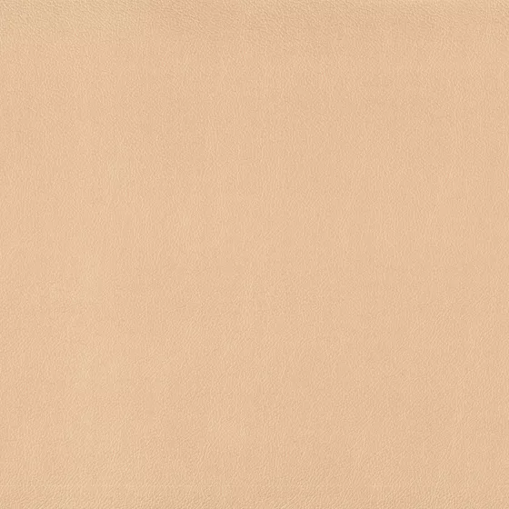 Color swatch image