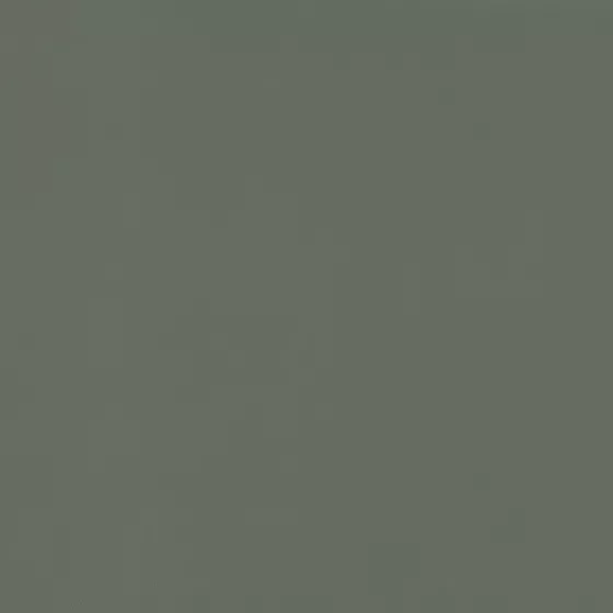 Color swatch image