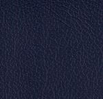 Color swatch image