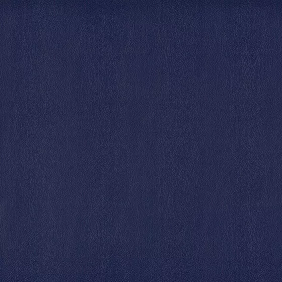 Color swatch image
